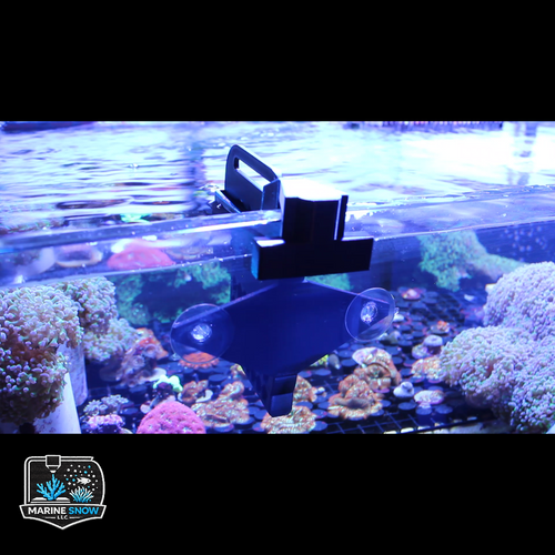 Dual Sided Nori Feeder